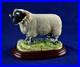 Border-Fine-Arts-Studio-Sheep-County-Show-Blackfaced-Ram-A0734-Figure-RARE-01-oprp