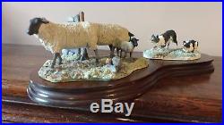 Border Fine Arts Suffolk Ewes and Collies Model No 101
