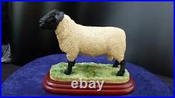 Border Fine Arts, Suffolk Ram, A0735 rare sculpture