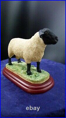 Border Fine Arts, Suffolk Ram, A0735 rare sculpture