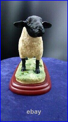 Border Fine Arts, Suffolk Ram, A0735 rare sculpture