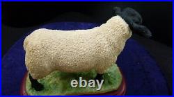 Border Fine Arts, Suffolk Ram, A0735 rare sculpture