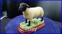 Border Fine Arts, Suffolk Ram, A0735 rare sculpture