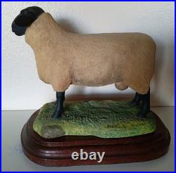 Border Fine Arts Suffolk Ram by Ray Ayres