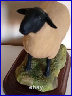 Border Fine Arts Suffolk Ram by Ray Ayres