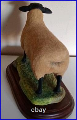 Border Fine Arts Suffolk Ram by Ray Ayres