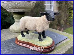 Border Fine Arts'Suffolk Tup' (Style Two), #B0777 by Jack Crewdson, Boxed