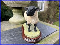 Border Fine Arts'Suffolk Tup' (Style Two), #B0777 by Jack Crewdson, Boxed