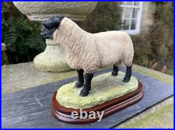 Border Fine Arts'Suffolk Tup' (Style Two), #B0777 by Jack Crewdson, Boxed
