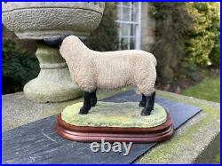 Border Fine Arts'Suffolk Tup' (Style Two), #B0777 by Jack Crewdson, Boxed