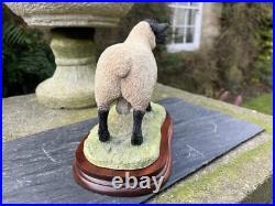 Border Fine Arts'Suffolk Tup' (Style Two), #B0777 by Jack Crewdson, Boxed
