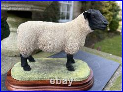 Border Fine Arts'Suffolk Tup' (Style Two), #B0777 by Jack Crewdson, Boxed