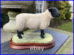 Border Fine Arts'Suffolk Tup' (Style Two), #B0777 by Jack Crewdson, Boxed
