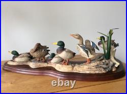 Border Fine Arts Sunny Afternoon Mallards by Richard Roberts Model No A1872