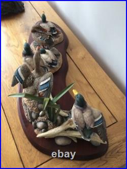 Border Fine Arts Sunny Afternoon Mallards by Richard Roberts Model No A1872