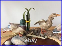 Border Fine Arts Sunny Afternoon Mallards by Richard Roberts Model No A1872