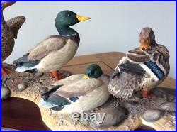 Border Fine Arts Sunny Afternoon Mallards by Richard Roberts Model No A1872