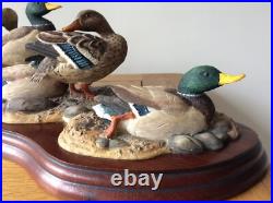 Border Fine Arts Sunny Afternoon Mallards by Richard Roberts Model No A1872