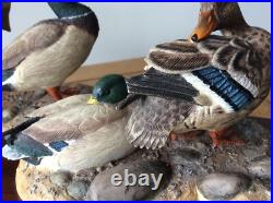 Border Fine Arts Sunny Afternoon Mallards by Richard Roberts Model No A1872