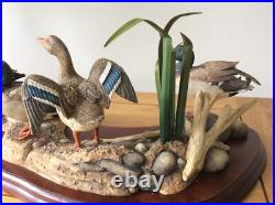 Border Fine Arts Sunny Afternoon Mallards by Richard Roberts Model No A1872