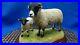 Border-Fine-Arts-Swaledale-Ewe-and-Lamb-A1248-01-ulc