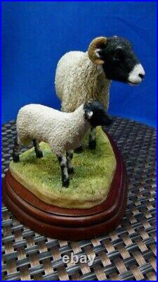 Border Fine Arts Swaledale Ewe and Lamb A1248