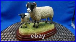 Border Fine Arts Swaledale Ewe and Lamb A1248