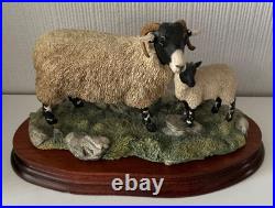 Border Fine Arts Swaledale Ewe and Lamb B0307 Ayres 255/1250 1998