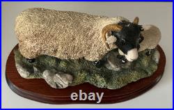 Border Fine Arts Swaledale Ewe and Lamb B0307 Ayres 255/1250 1998