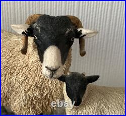 Border Fine Arts Swaledale Ewe and Lamb B0307 Ayres 255/1250 1998