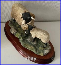 Border Fine Arts Swaledale Ewe and Lamb B0307 Ayres 255/1250 1998