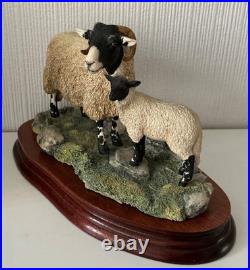 Border Fine Arts Swaledale Ewe and Lamb B0307 Ayres 255/1250 1998