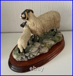 Border Fine Arts Swaledale Ewe and Lamb B0307 Ayres 255/1250 1998