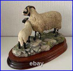 Border Fine Arts Swaledale Ewe and Lamb B0307 Ayres 255/1250 1998