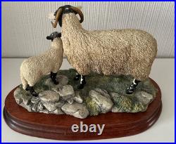 Border Fine Arts Swaledale Ewe and Lamb B0307 Ayres 255/1250 1998