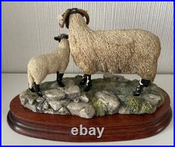 Border Fine Arts Swaledale Ewe and Lamb B0307 Ayres 255/1250 1998