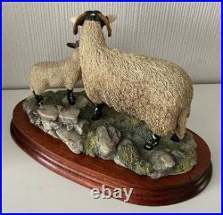 Border Fine Arts Swaledale Ewe and Lamb B0307 Ayres 255/1250 1998