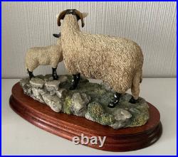 Border Fine Arts Swaledale Ewe and Lamb B0307 Ayres 255/1250 1998