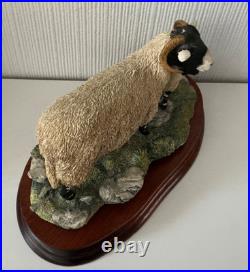 Border Fine Arts Swaledale Ewe and Lamb B0307 Ayres 255/1250 1998