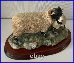Border Fine Arts Swaledale Ewe and Lamb B0307 Ayres 255/1250 1998