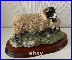 Border Fine Arts Swaledale Ewe and Lamb B0307 Ayres 255/1250 1998