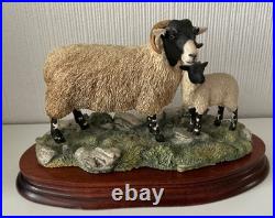 Border Fine Arts Swaledale Ewe and Lamb B0307 Ayres 255/1250 1998