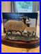 Border-Fine-Arts-Swaledale-Ewe-and-Lamb-Figurine-01-cwx