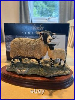 Border Fine Arts'Swaledale Ewe and Lamb' Figurine