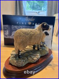 Border Fine Arts'Swaledale Ewe and Lamb' Figurine