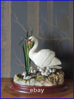 Border Fine Arts Swan and Cygnets Sculpture First One In by Ray Ayres 1997
