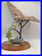 Border-Fine-Arts-Tawny-Owl-Russell-Willis-A4054-Birds-01-gj