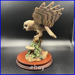 Border Fine Arts Tawny Owl in Flight on Tree Stump on Wooden Base RARE 1986 VGC Border Fine Arts Tawny Owl in Flight on Tree Stump on Wooden Base RARE 1986 VGC