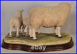 Border Fine Arts Texel Ewe & Lambs B0658 Limited Edition 561 Of 1500 + Cert Auth