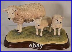Border Fine Arts Texel Ewe & Lambs B0658 Limited Edition 561 Of 1500 + Cert Auth